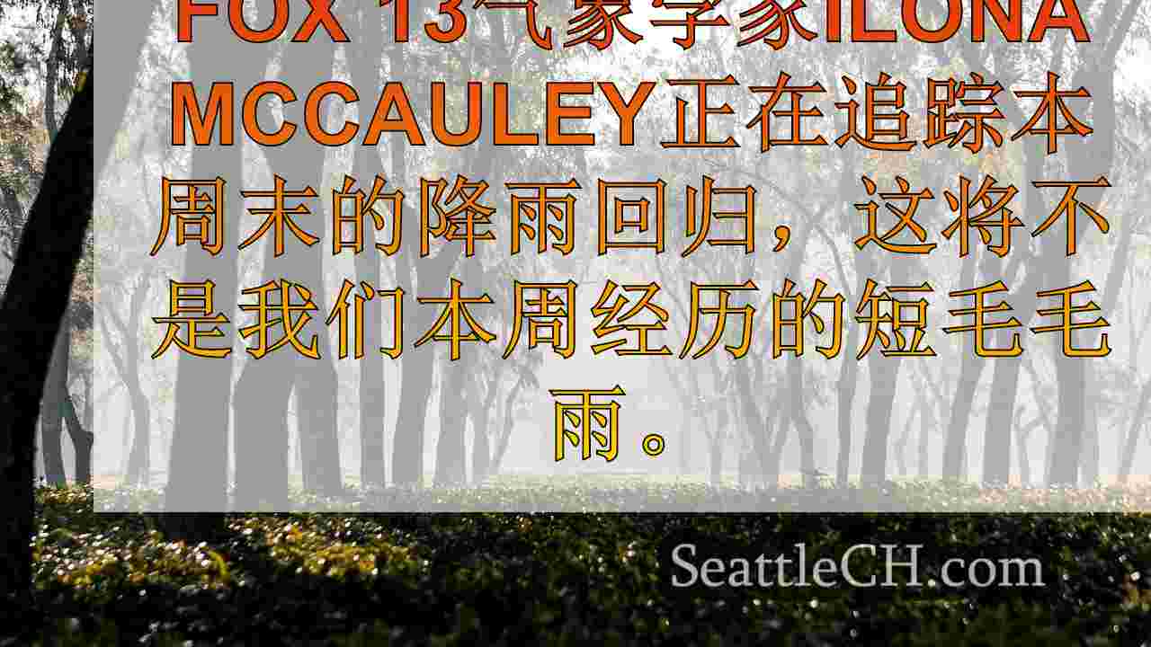 西雅图新闻 SeattleCH