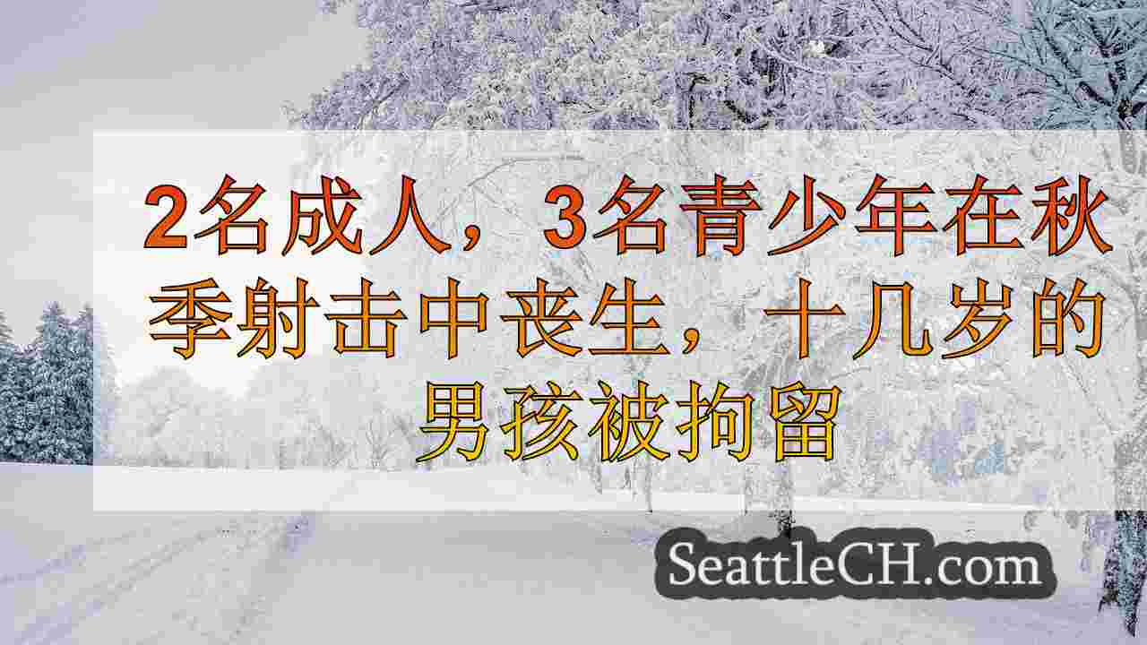 西雅图新闻 SeattleCH