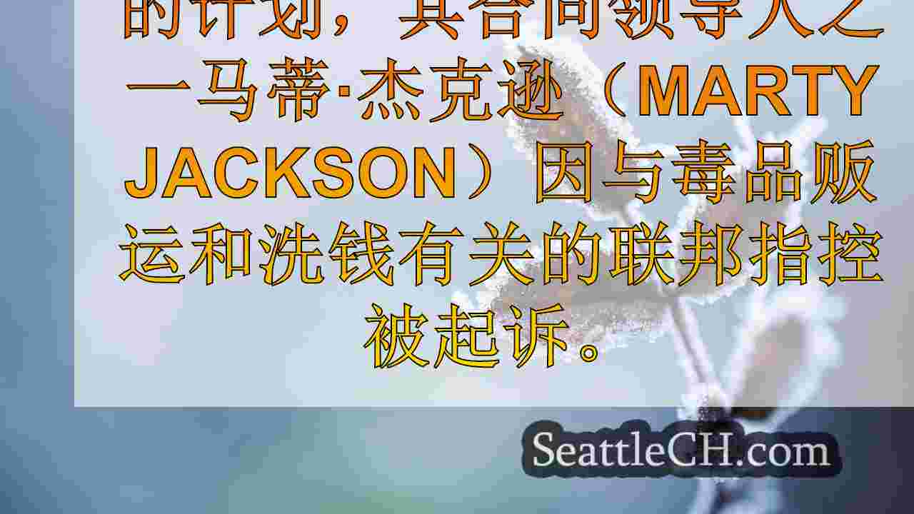 西雅图新闻 SeattleCH