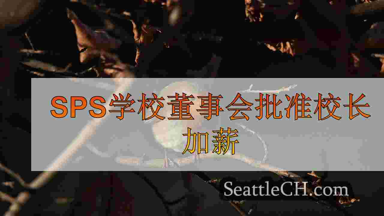 西雅图新闻 SeattleCH