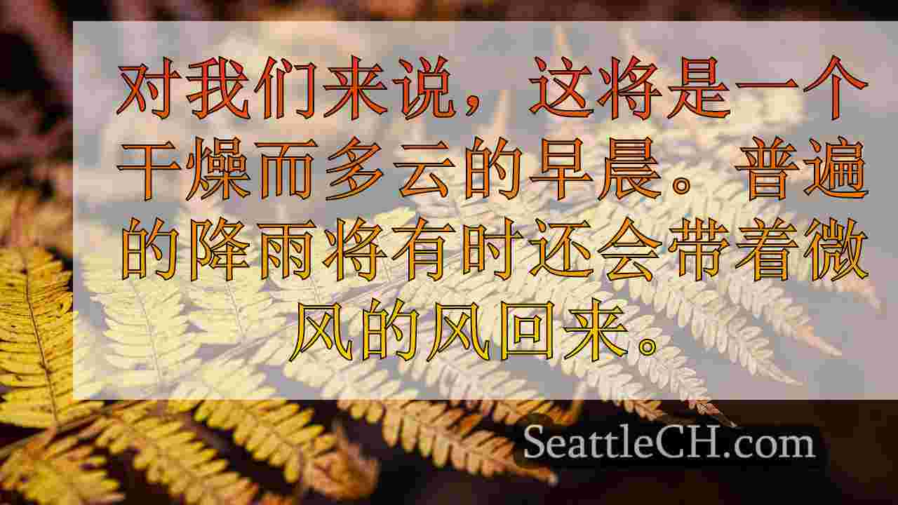 西雅图新闻 SeattleCH