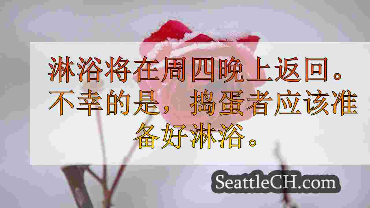 西雅图新闻 SeattleCH
