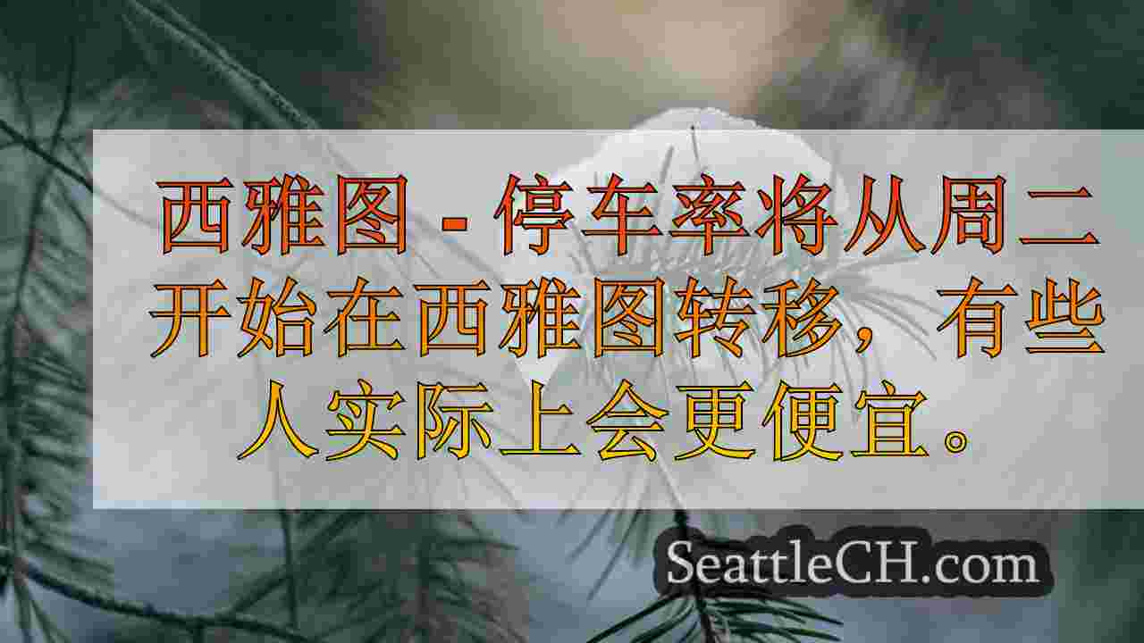 西雅图新闻 SeattleCH