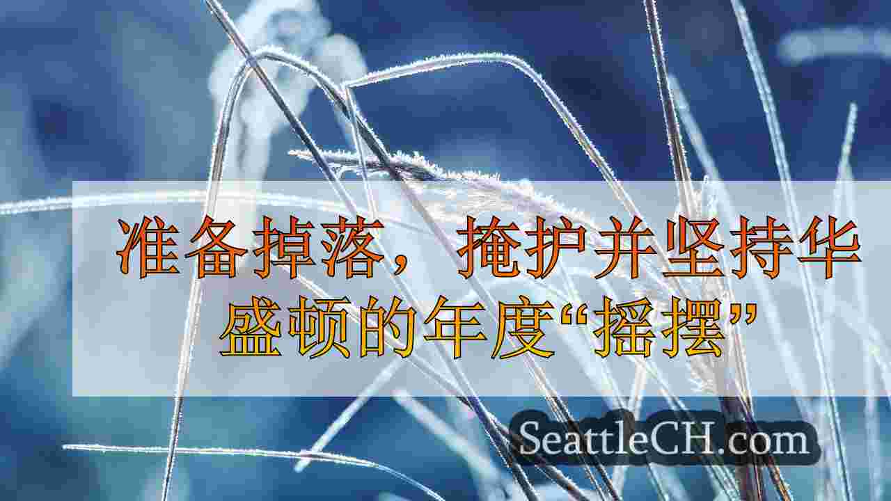 西雅图新闻 SeattleCH