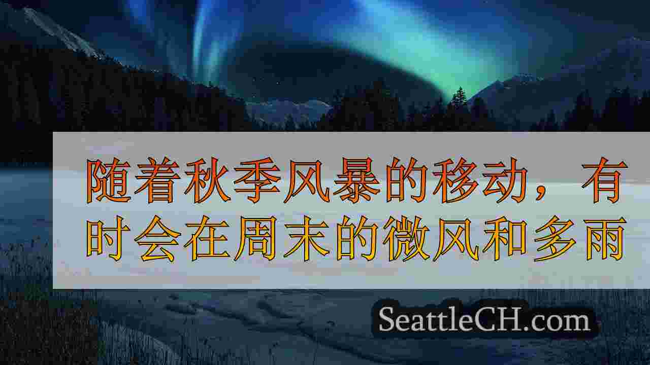 西雅图新闻 SeattleCH