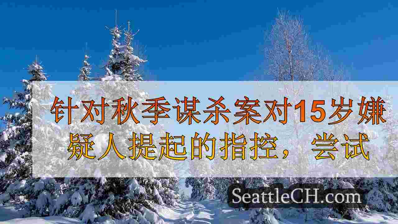 西雅图新闻 SeattleCH
