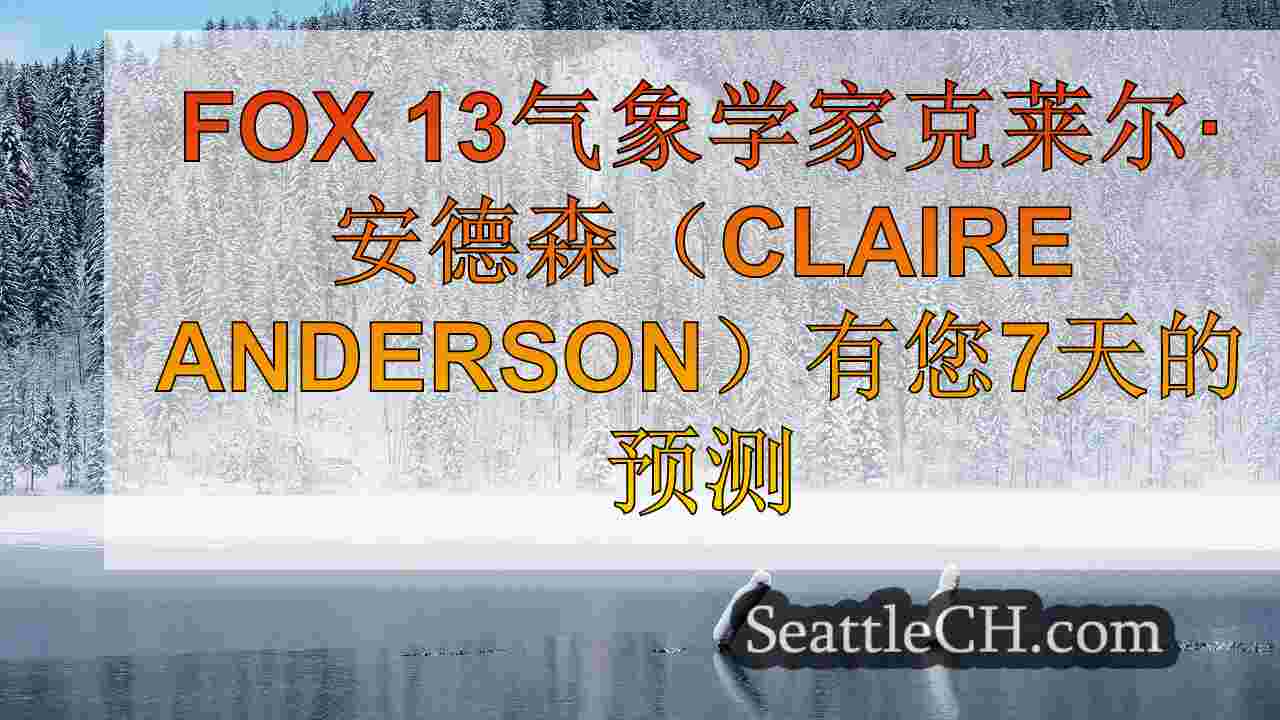 西雅图新闻 SeattleCH