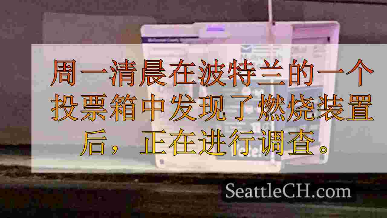 燃烧装置在SE波特兰投票箱内开火：只有3票损坏