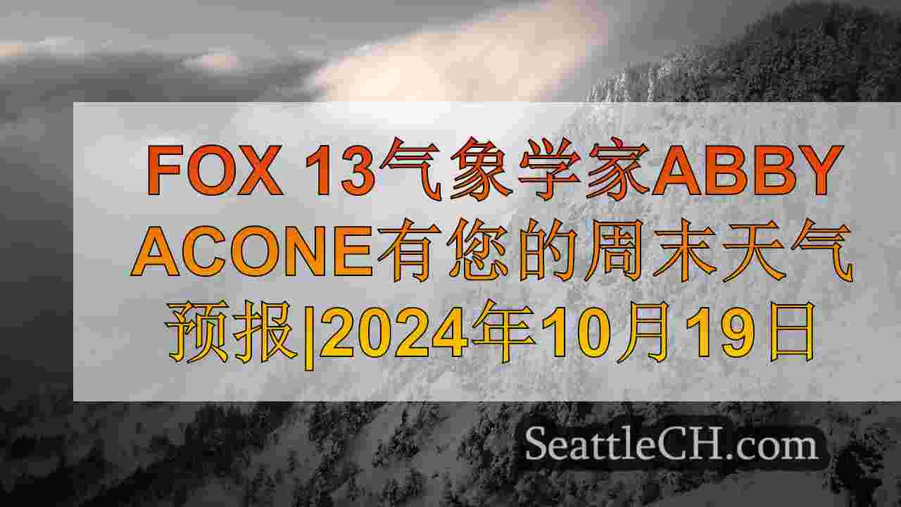 西雅图新闻 SeattleCH