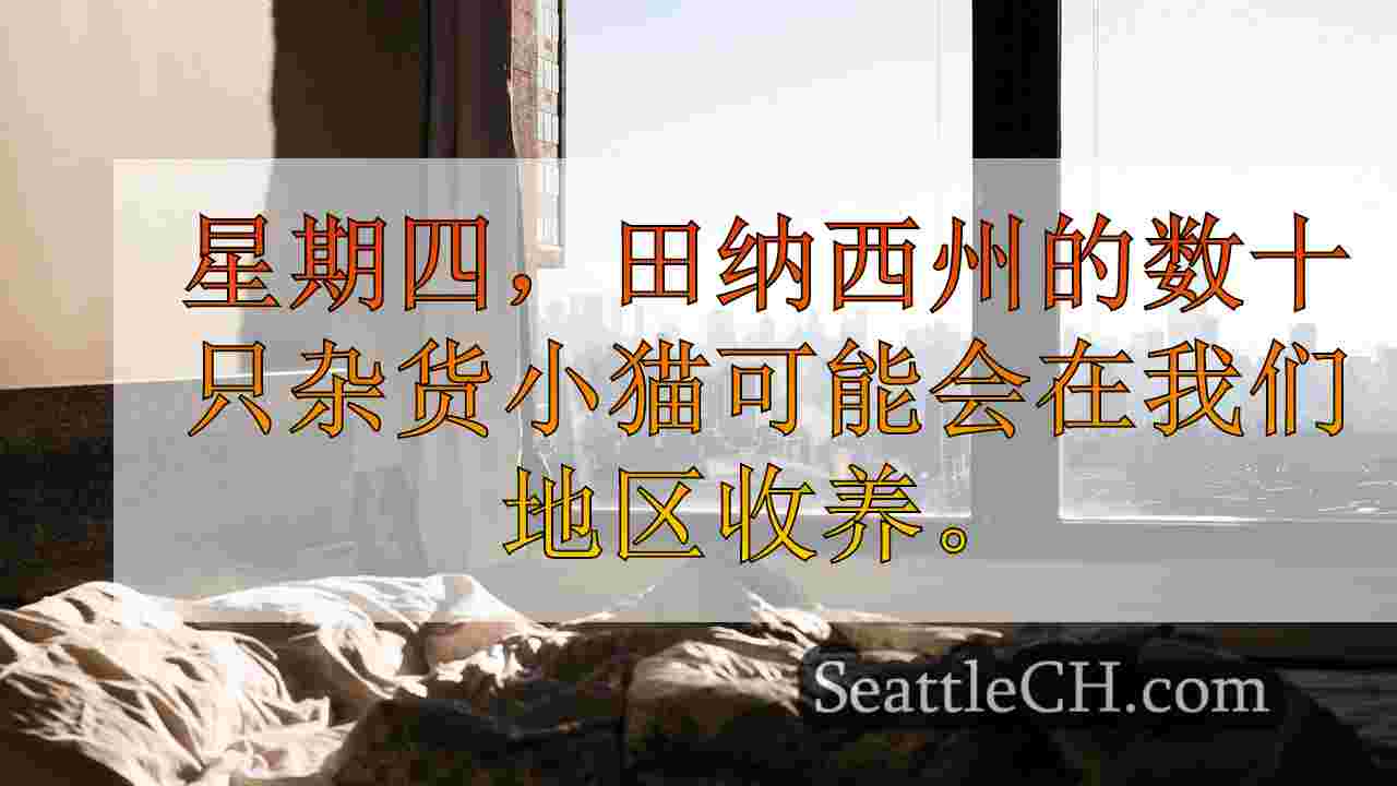 西雅图新闻 SeattleCH