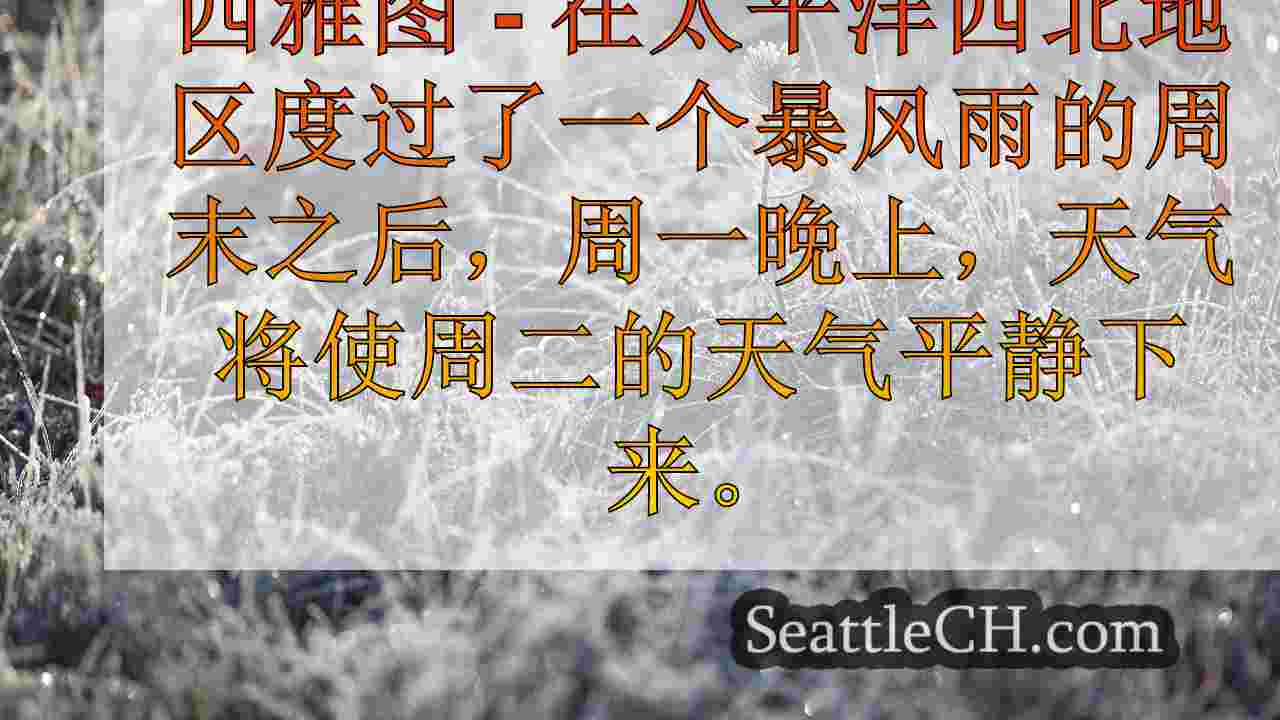 西雅图新闻 SeattleCH
