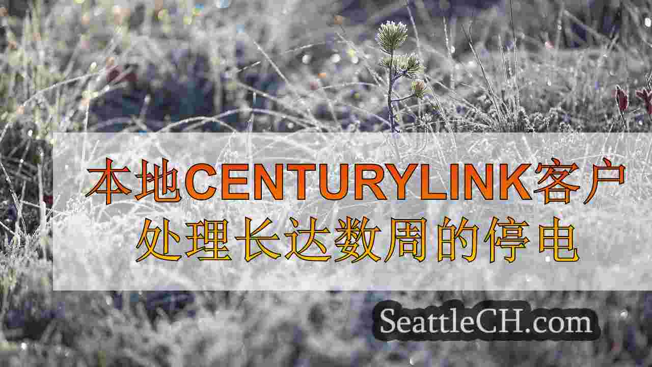 西雅图新闻 SeattleCH