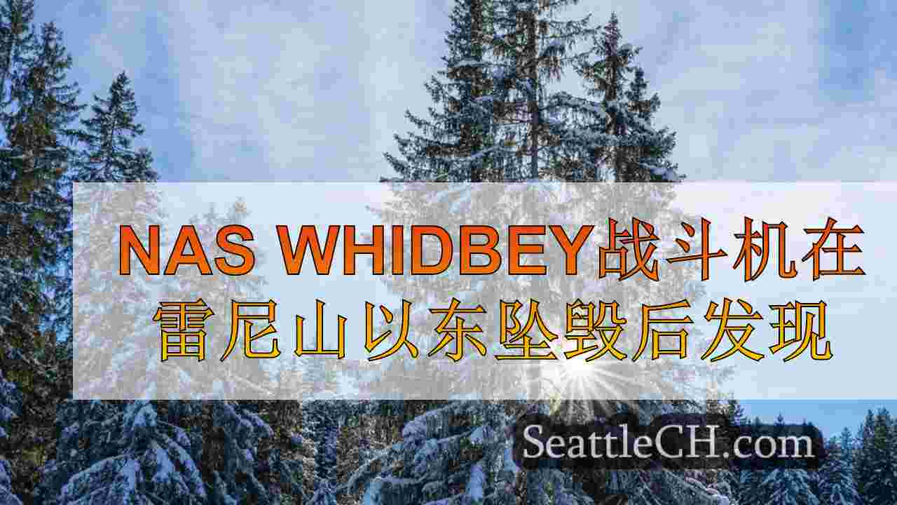 西雅图新闻 SeattleCH