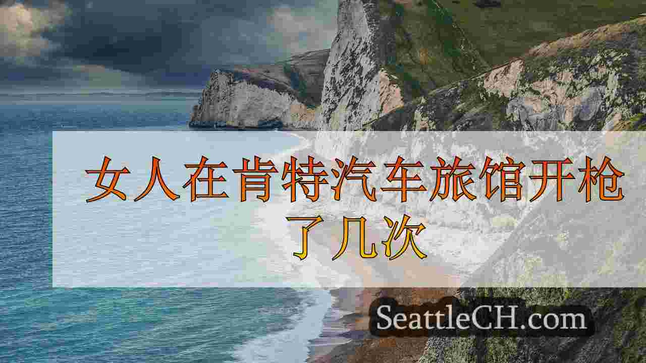 女人在肯特汽车旅馆开枪了几次
