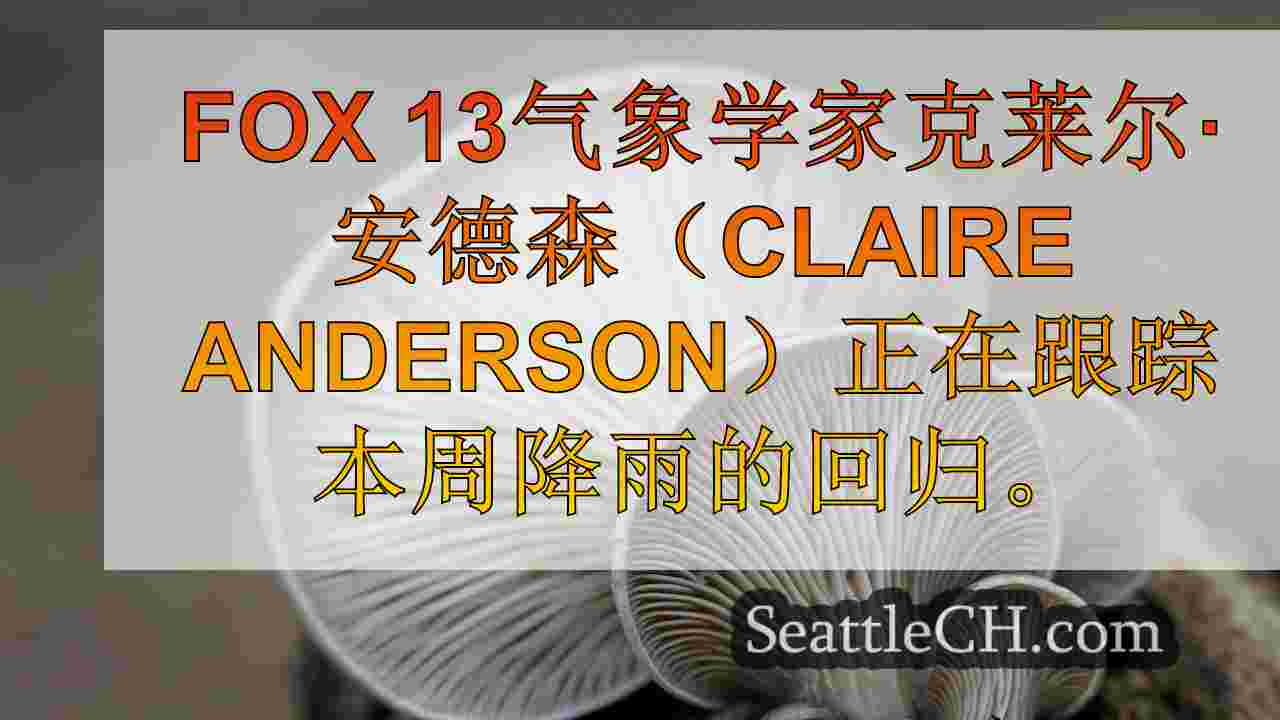 西雅图新闻 SeattleCH
