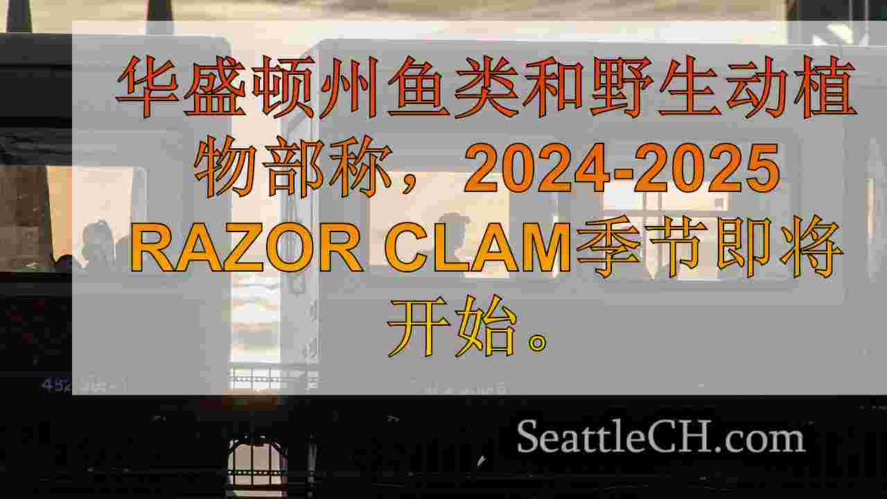 西雅图新闻 SeattleCH