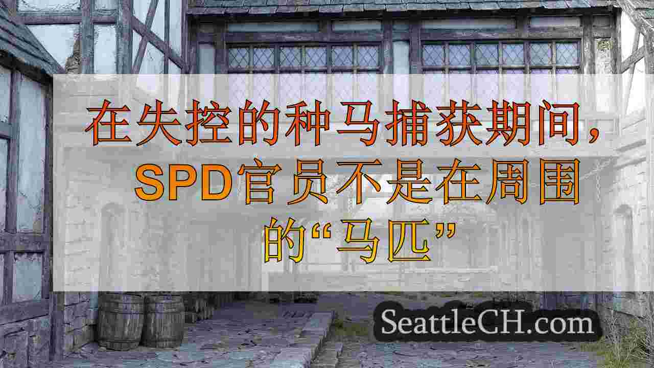 西雅图新闻 SeattleCH