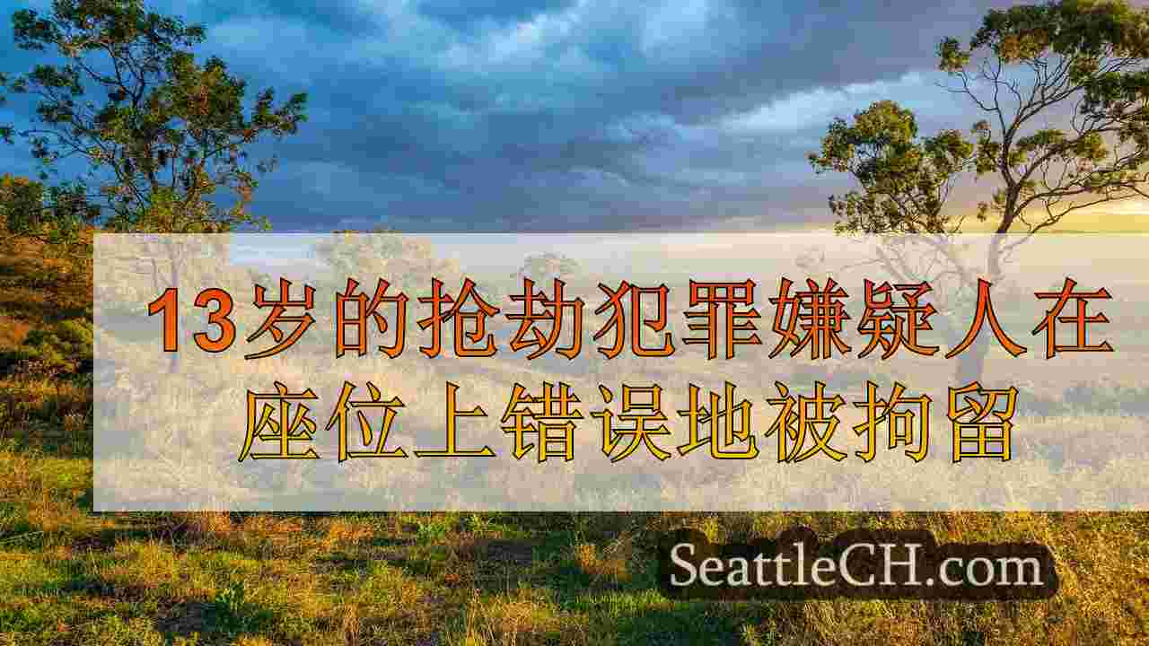 西雅图新闻 SeattleCH