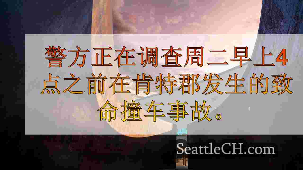 西雅图新闻 SeattleCH