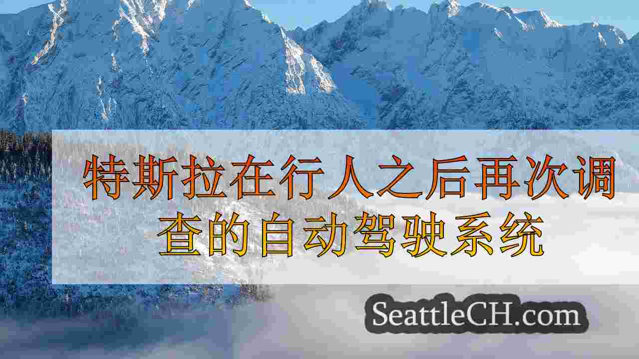 西雅图新闻 SeattleCH