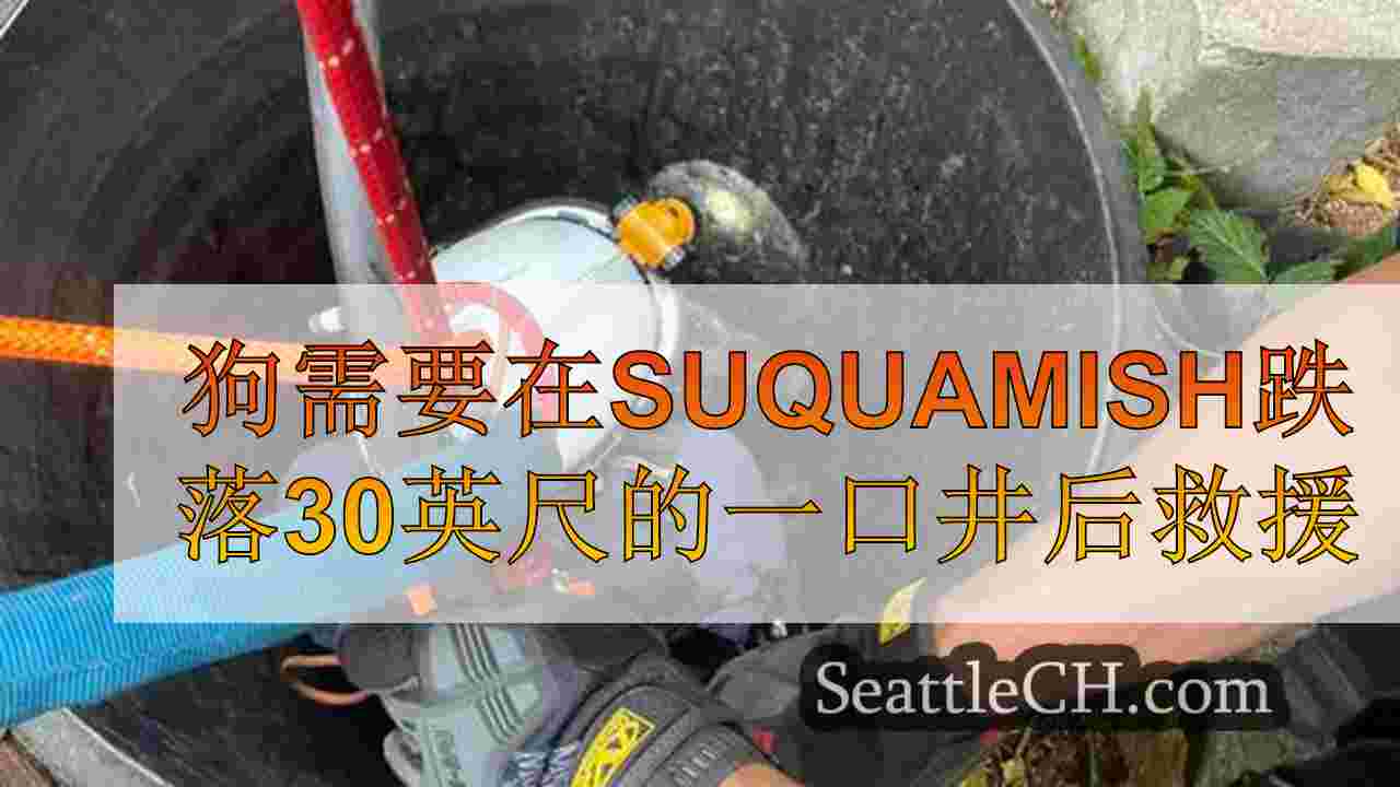狗需要在Suquamish跌落30英尺的一口井后救援