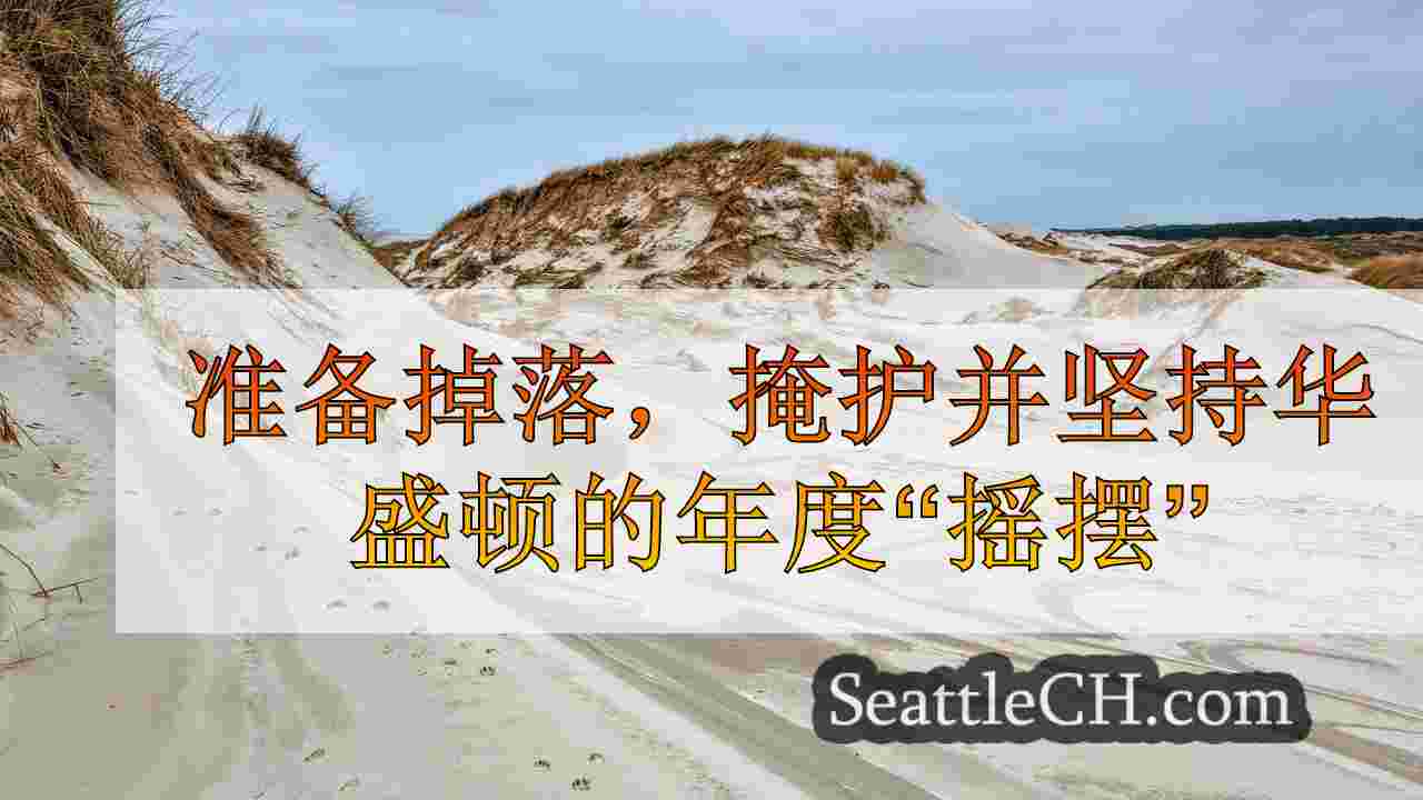 准备掉落，掩护并持有华盛顿的年度“摇动”地震演习