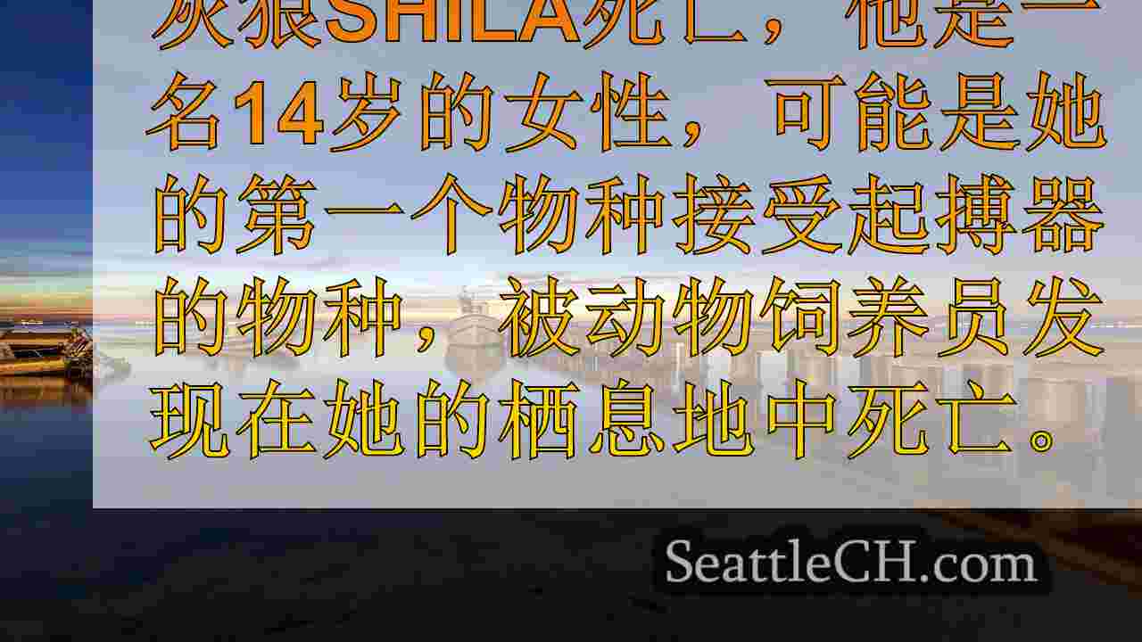 西雅图新闻 SeattleCH