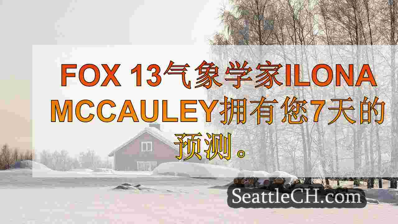 西雅图新闻 SeattleCH