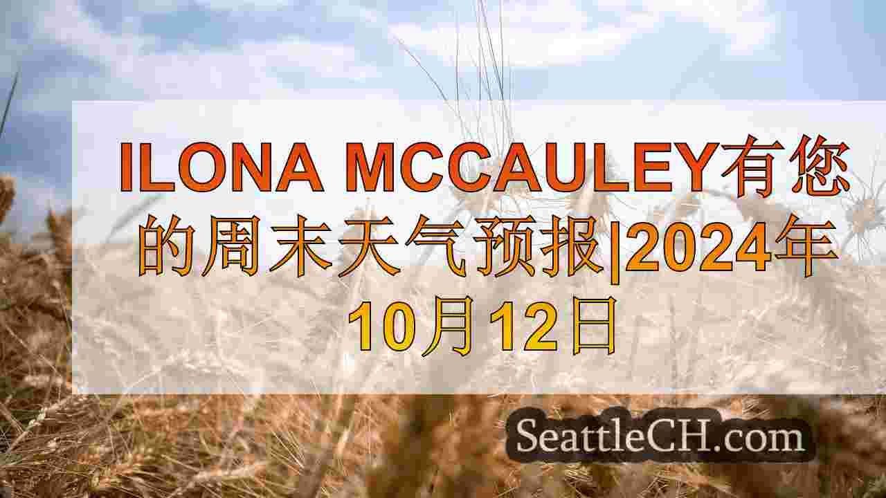西雅图新闻 SeattleCH