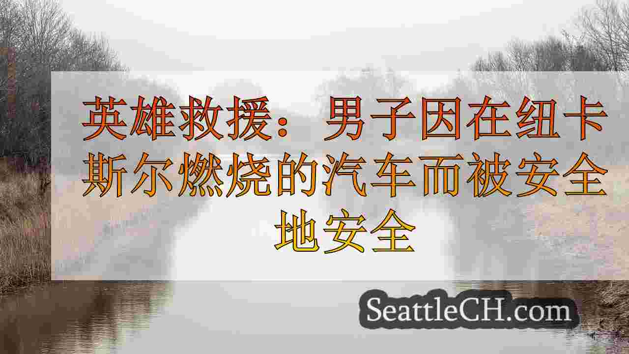 英雄救援：男子因在纽卡斯尔燃烧的汽车而被安全地安全