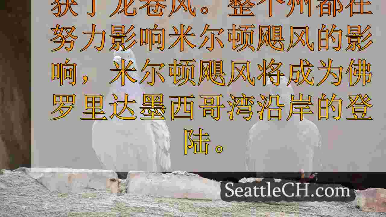 西雅图新闻 SeattleCH