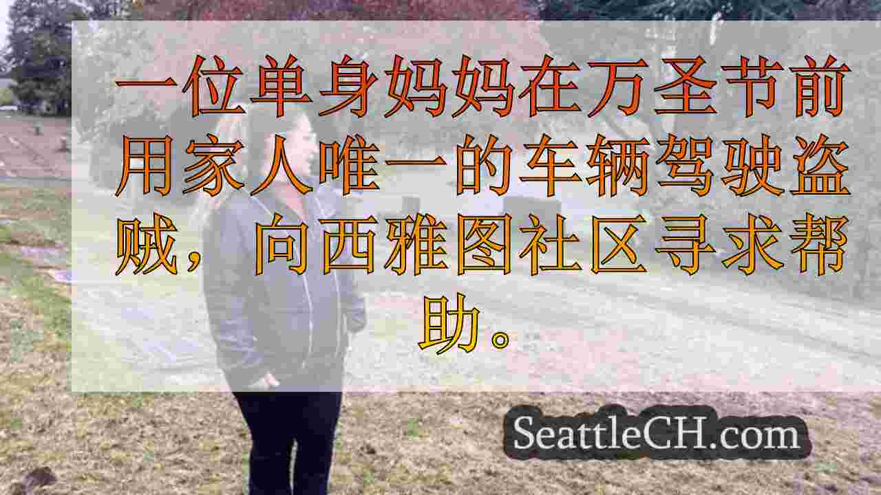 盗贼在万圣节前偷车后，怀孕的妈妈在“坟墓”中偷车