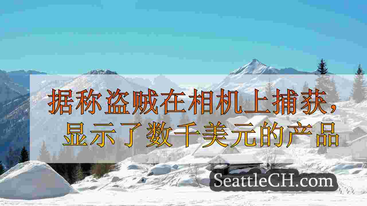 据称盗贼抓住了摄像机，将数千美元的产品推入图拉利普商店的袋子