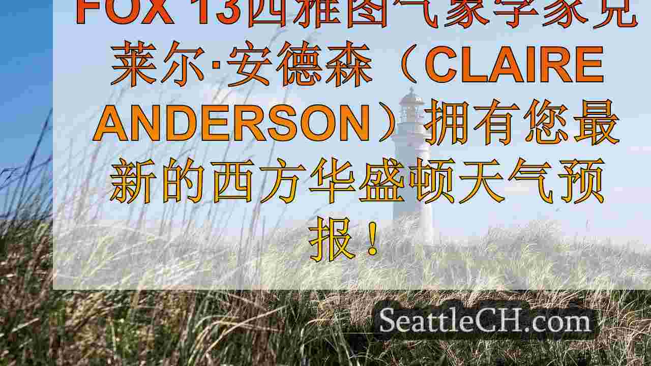 西雅图新闻 SeattleCH