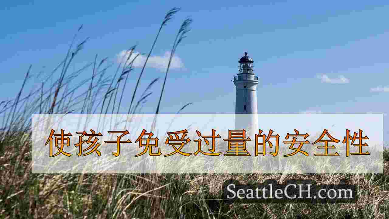 使孩子免受过量的安全性