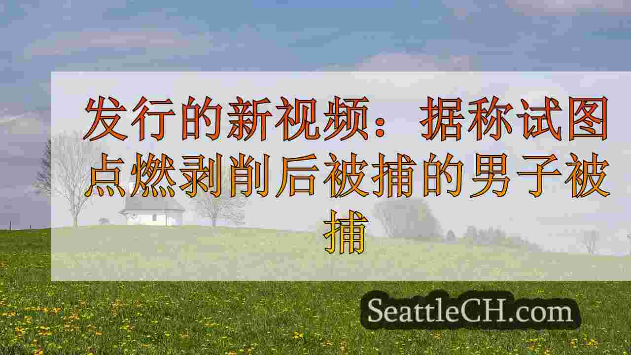 西雅图新闻 SeattleCH