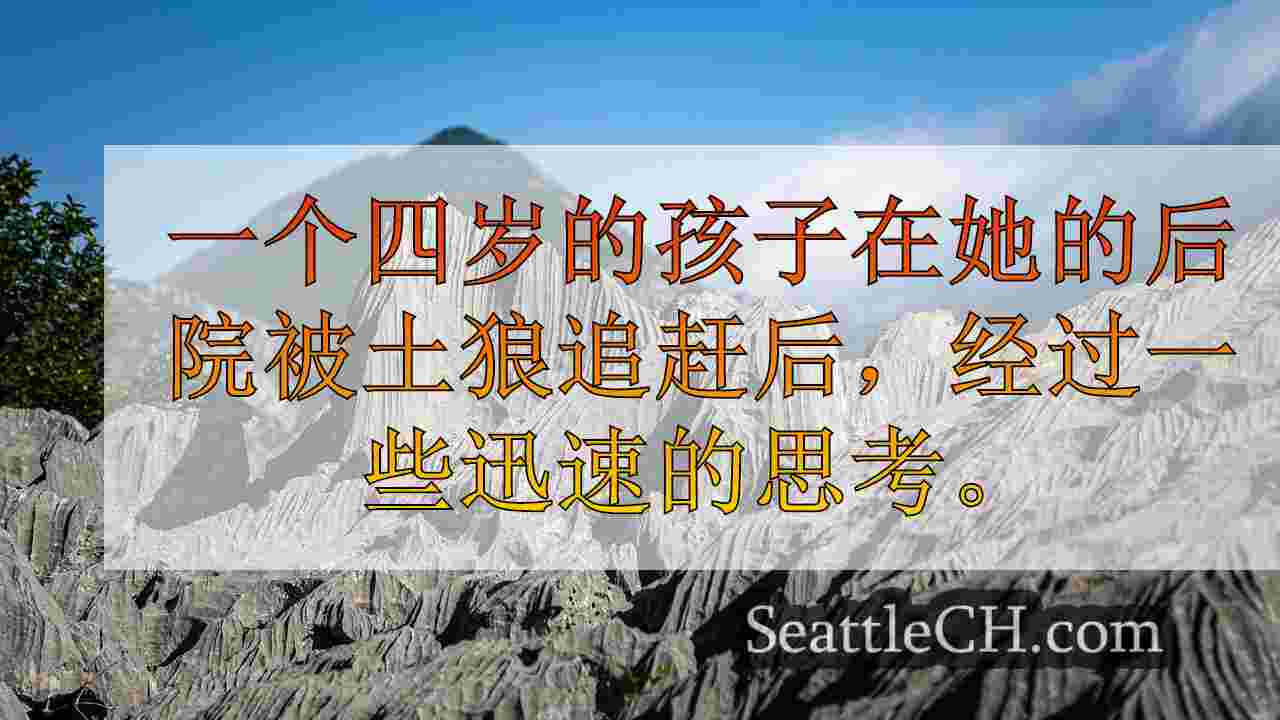 西雅图新闻 SeattleCH