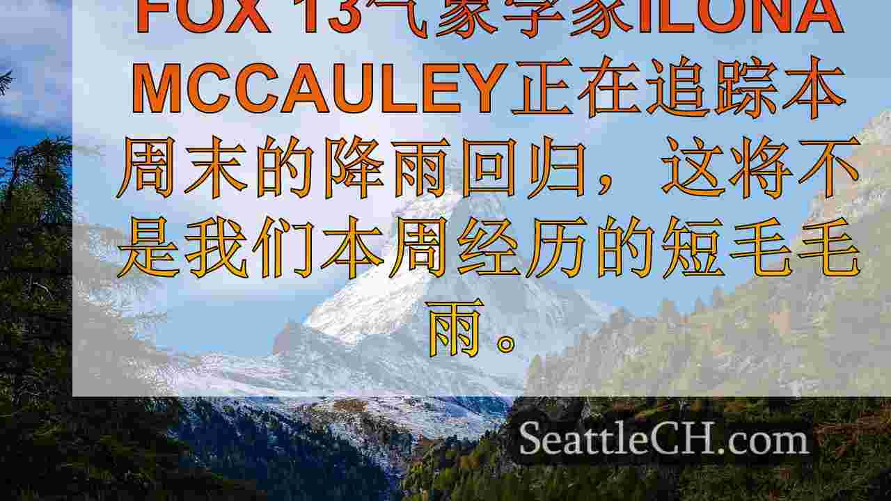 西雅图天气：潮湿又大风的周末