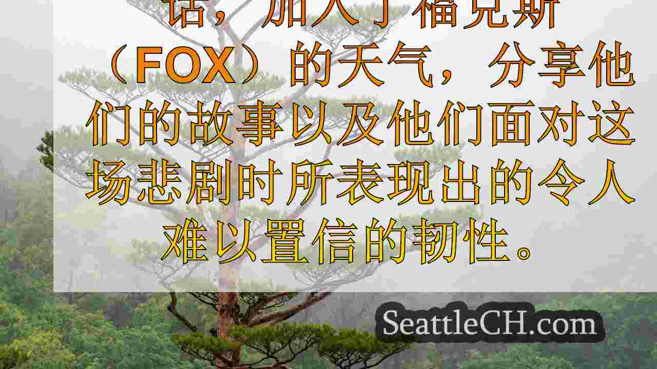西雅图新闻 SeattleCH
