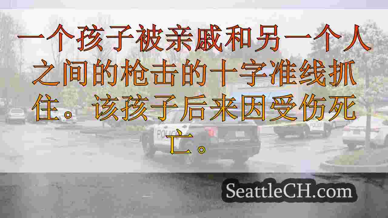 警察以联邦方式逮捕青少年IHOP枪击事件杀死了蹒跚学步的幼儿