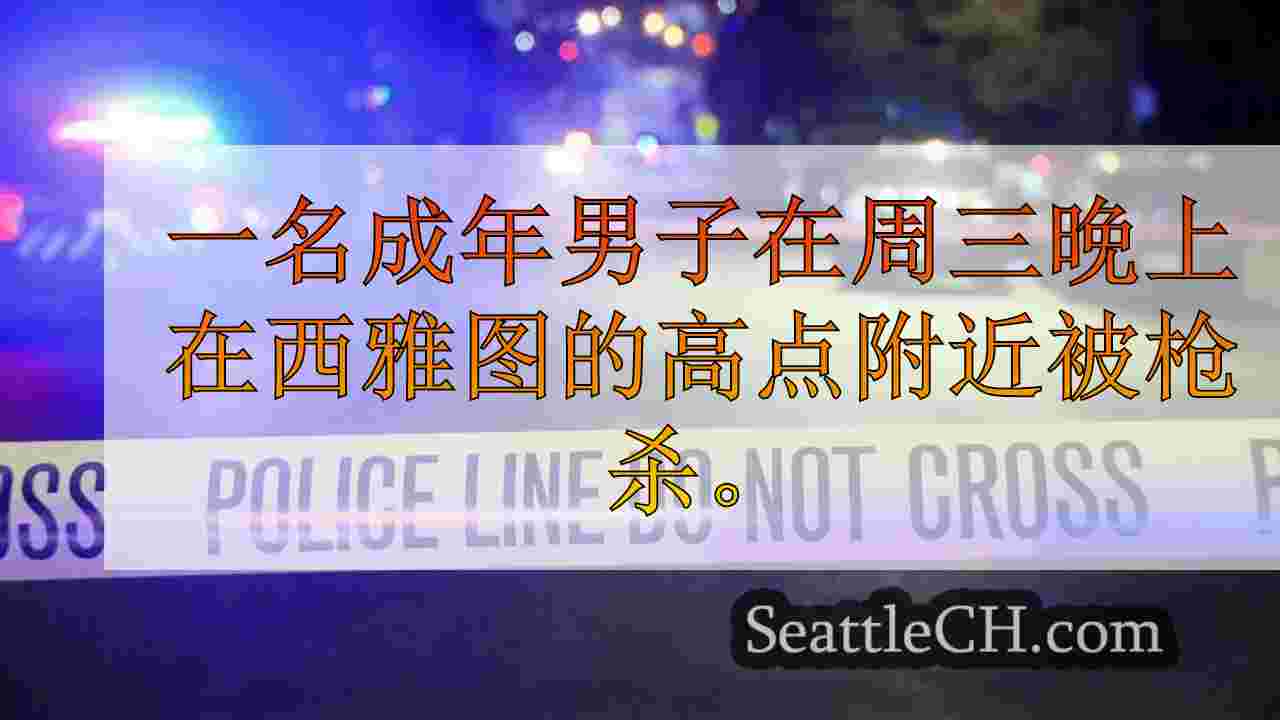 男子在西雅图高点附近的后面开枪，多个嫌疑人