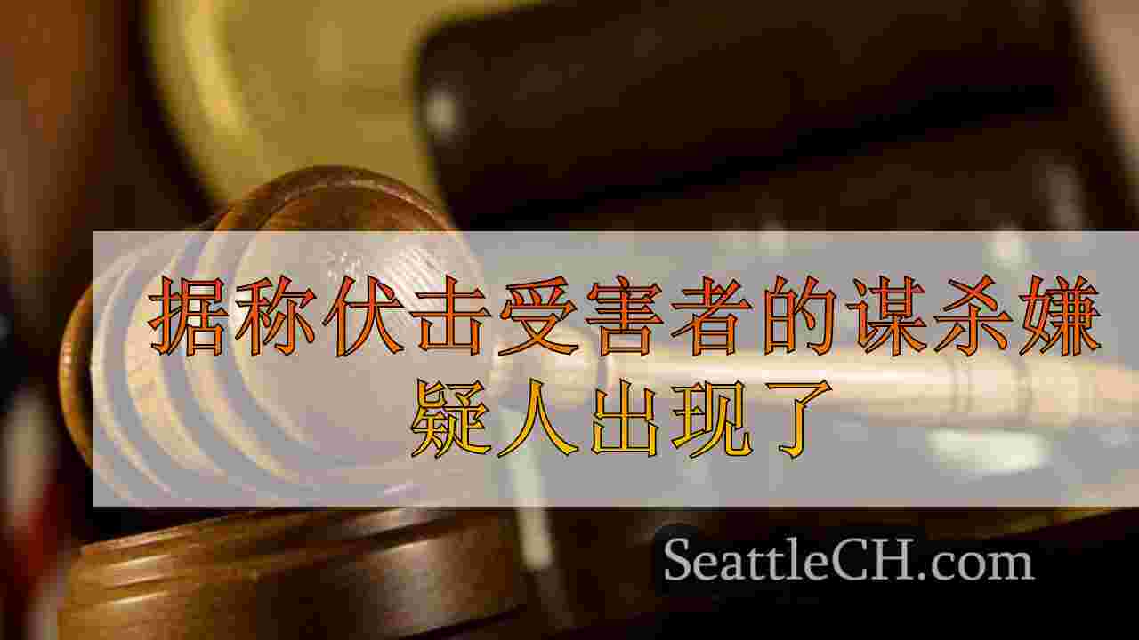 据称伏击受害者的谋杀嫌疑人在岛县初步露面