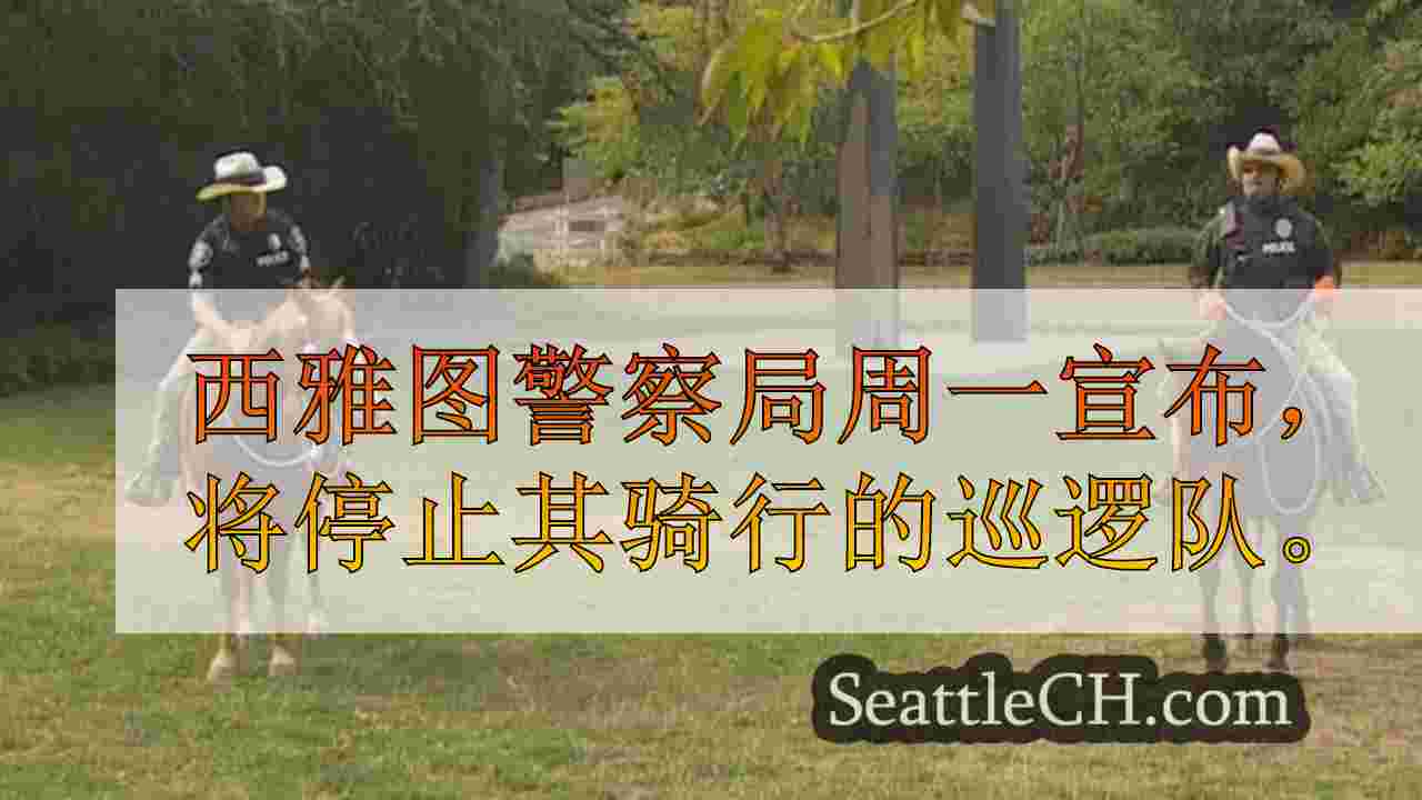 西雅图新闻 SeattleCH