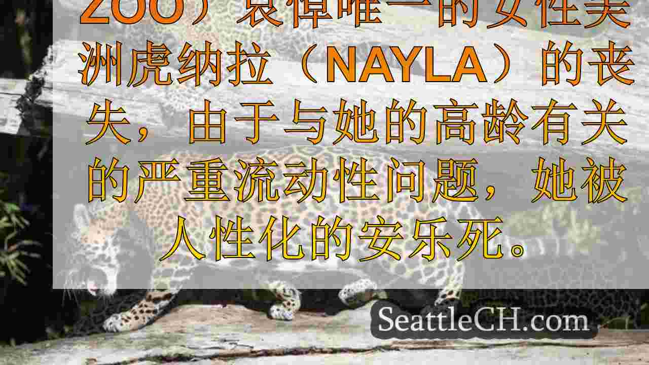 西雅图新闻 SeattleCH