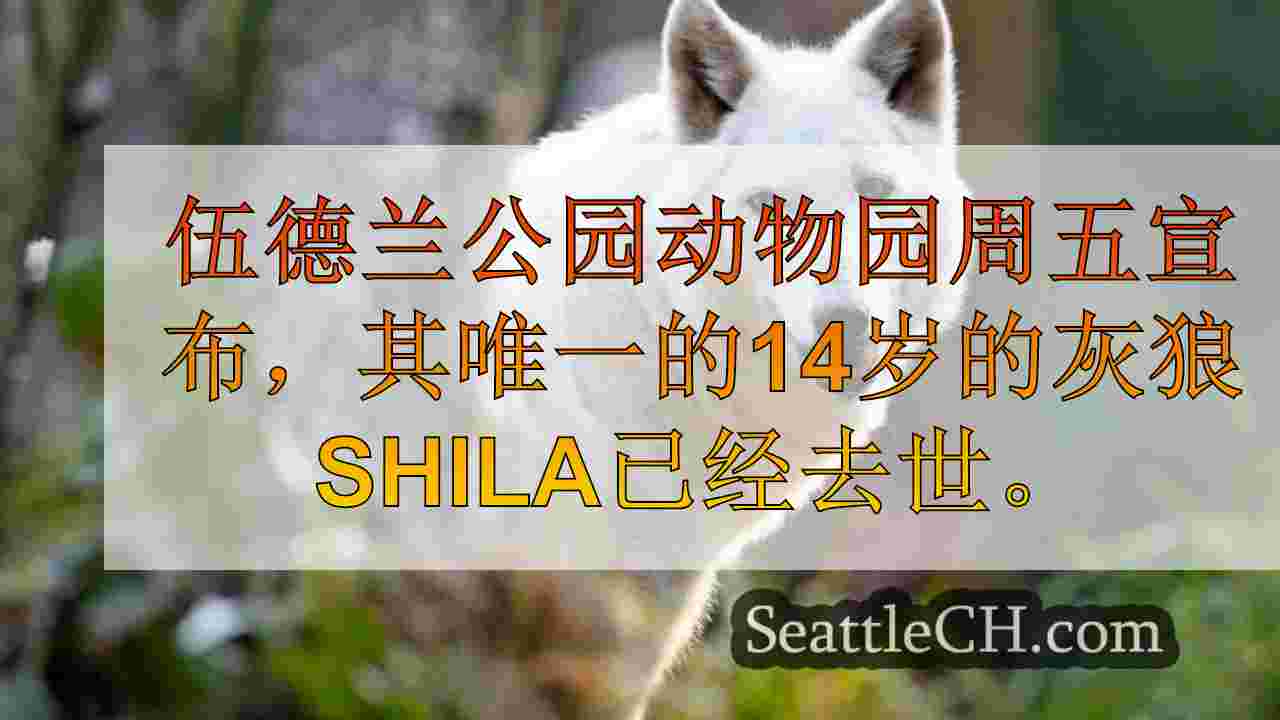 伍德兰公园动物园哀悼14岁的希拉（Shila