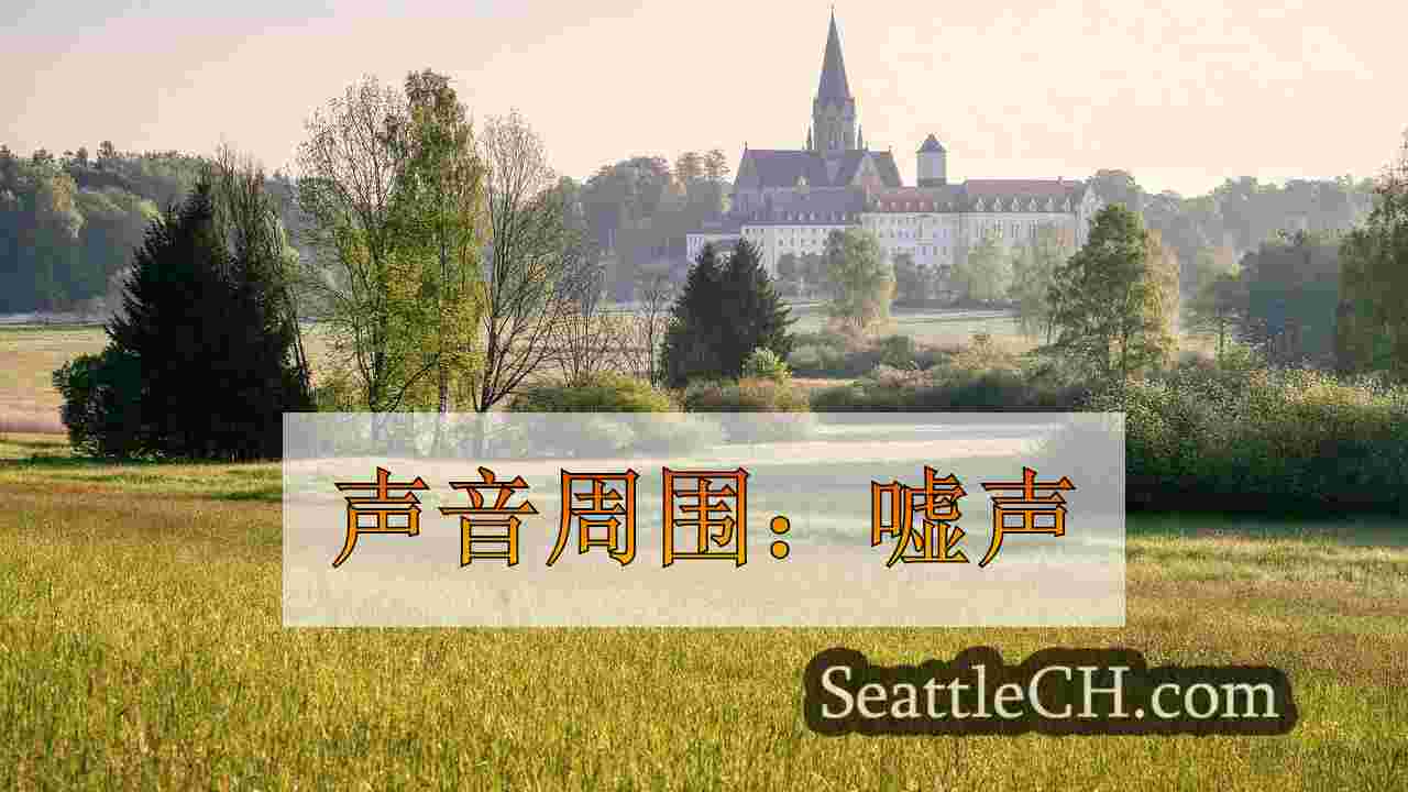 声音周围：嘘声