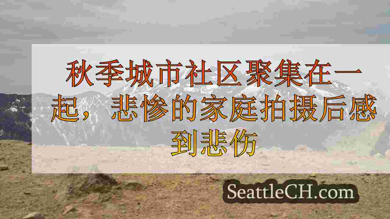 西雅图新闻 SeattleCH