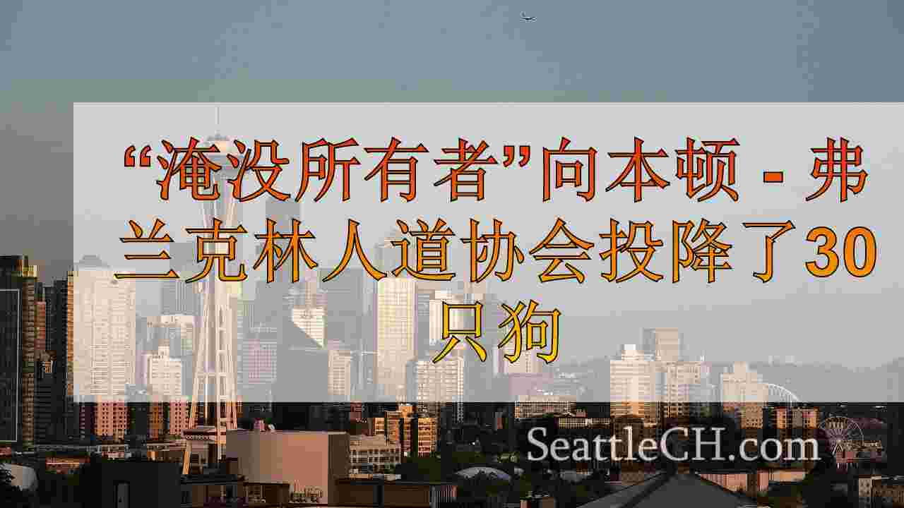 西雅图新闻 SeattleCH