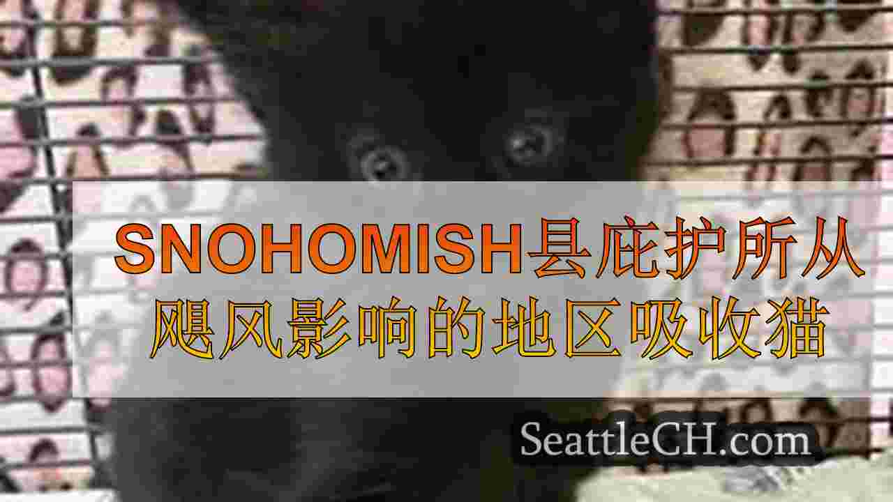西雅图新闻 SeattleCH