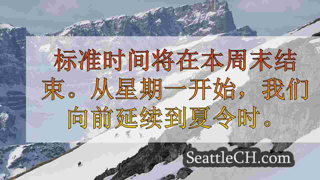 西雅图新闻 SeattleCH